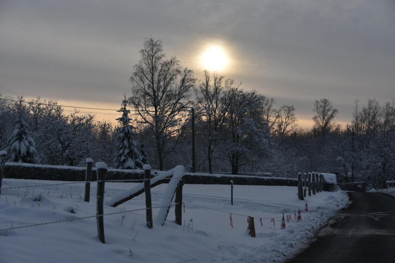 Rochehaut, Les Semoiselles, Villa Charlotte บูยง ภายนอก รูปภาพ